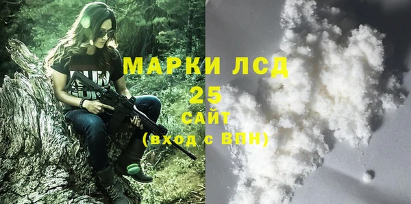 трава Белокуриха