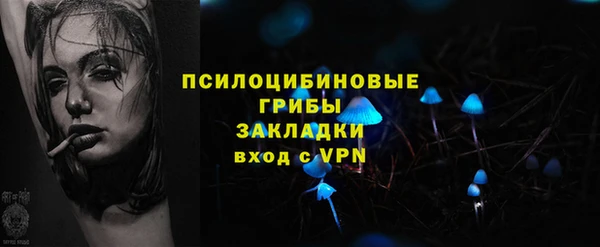 трава Белокуриха