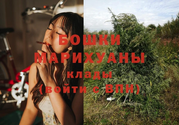 PSILOCYBIN Белоозёрский