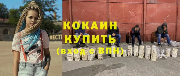 трава Белокуриха