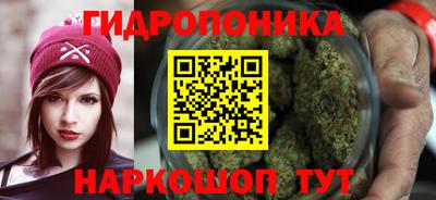 индика Кимры