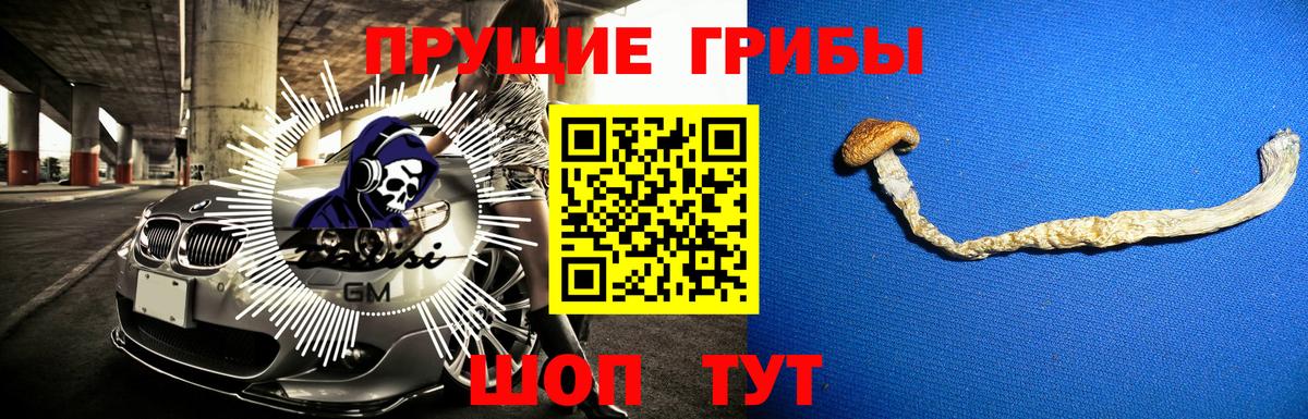 Альфа ПВП СК кристаллы  Кокаин  АМФ кристаллы  Меф МЯУ МЯУ   Вход с VPN  NBOMe  Канабис  Малоярославец  Гашиш 