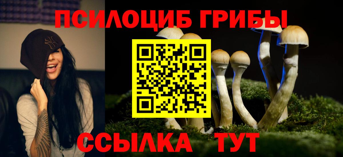 Псилоцибиновые грибы прущие грибы  Вход с VPN  Малоярославец  Галлюциногенные грибы Cubensis 